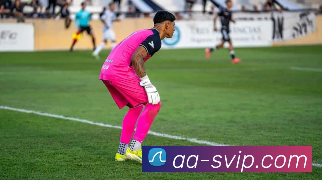 俄罗斯贵宾会官网平台生态图