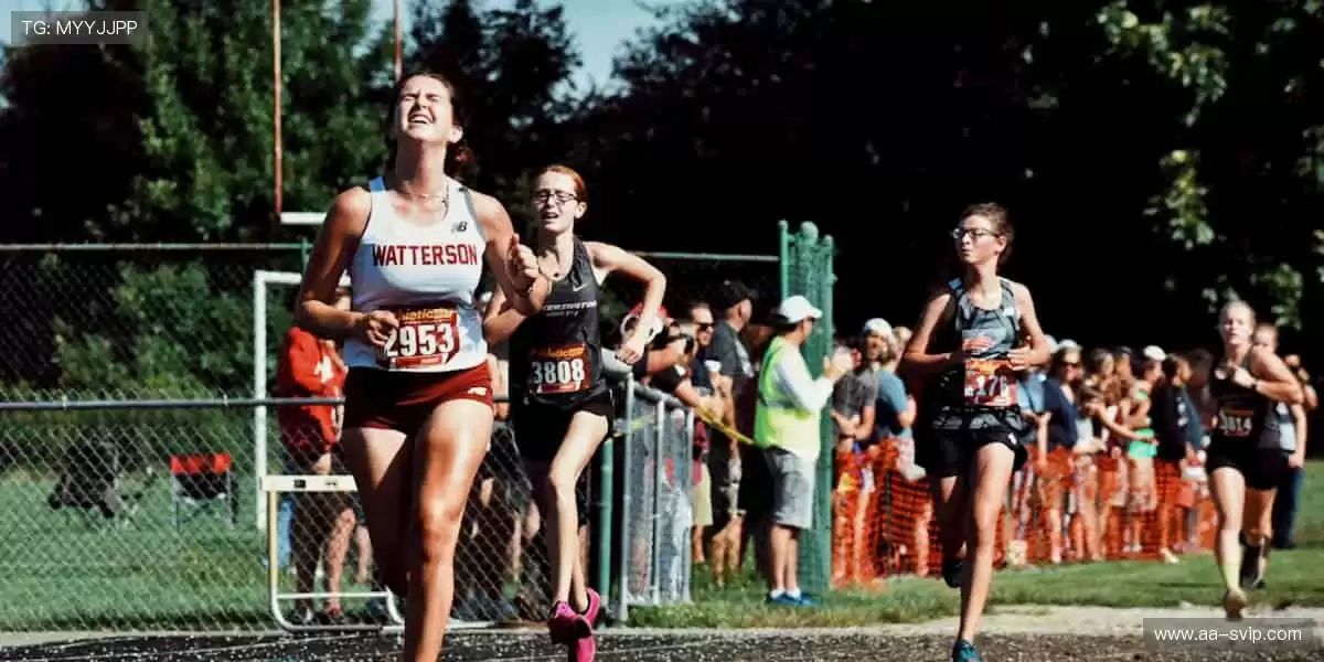 🎾 运动装备，品质之选！从赛场到生活，陪伴你的每一步👟